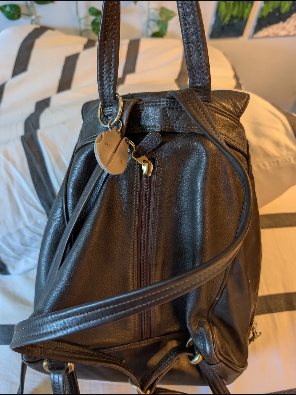 Classic Brown Leather Women’s Backpack Purse